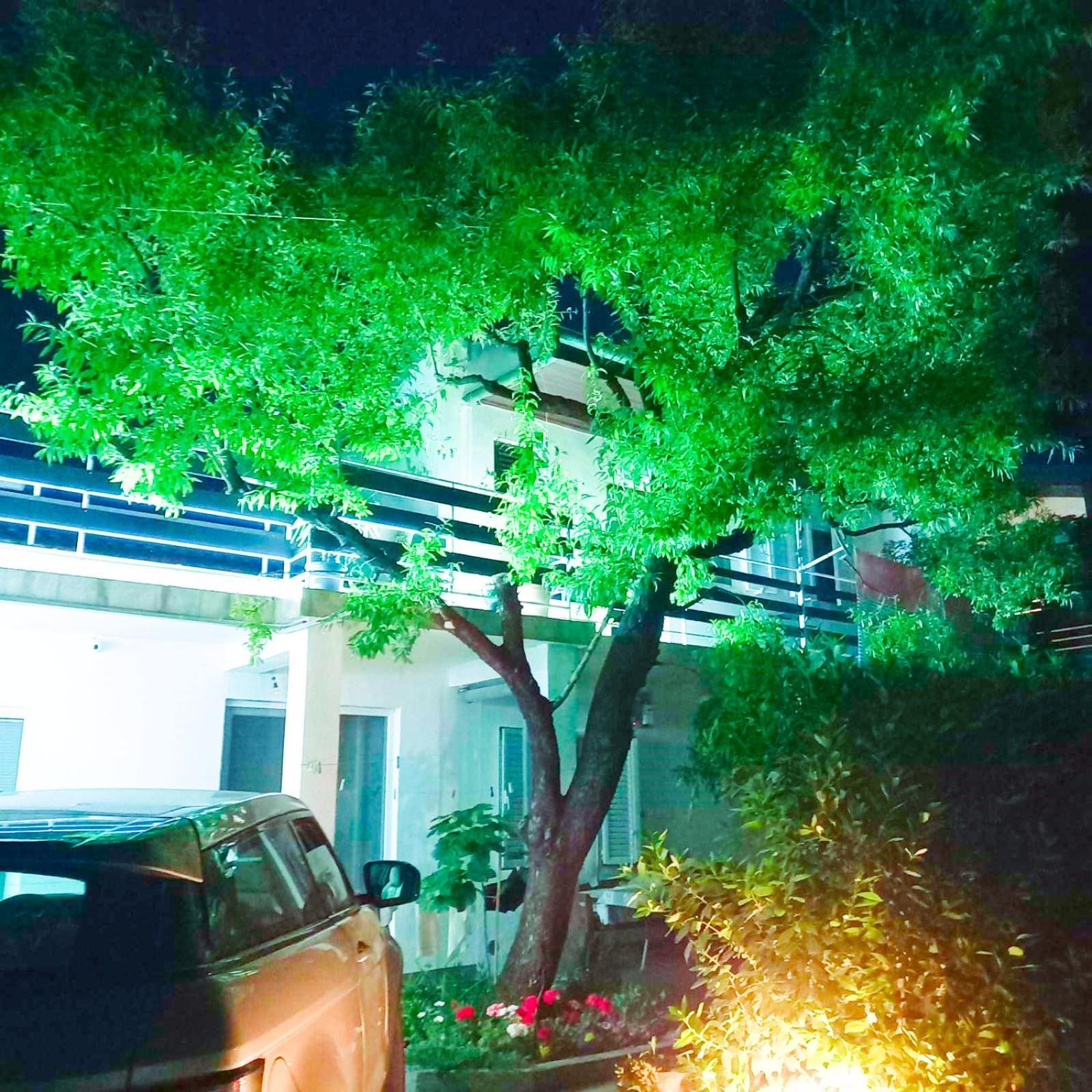 Felix Apartment Biograd Biograd Na Moru Luaran gambar