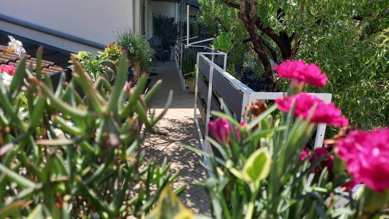 Felix Apartment Biograd Biograd Na Moru Luaran gambar